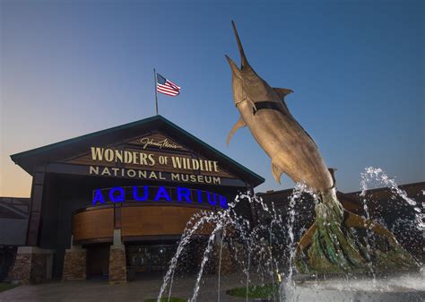 Wonders of wildlife museum - Wonders of Wildlife is a 350,000-square-foot museum and aquarium located in Springfield, Missouri. It is the largest conservation attraction in the world and...